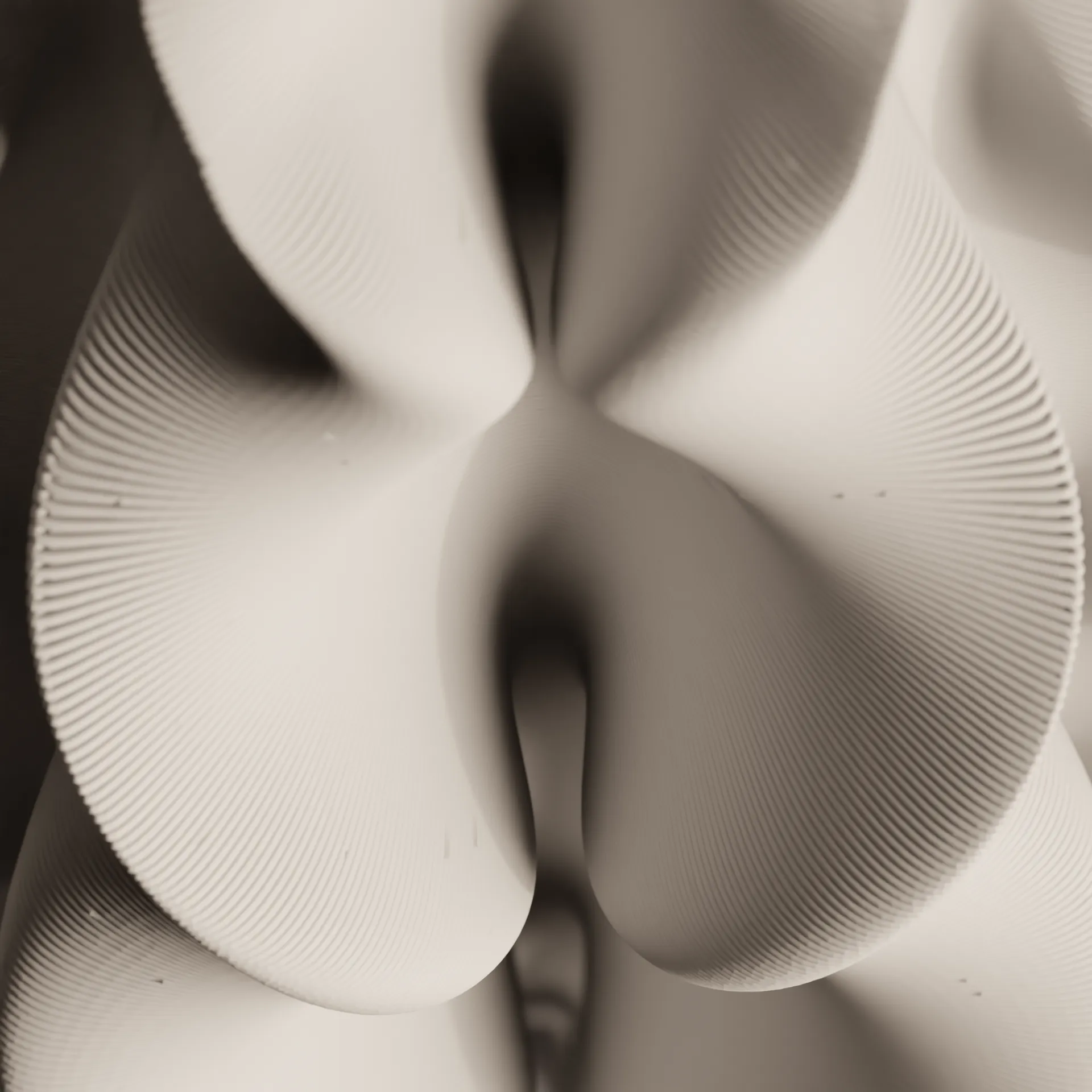 model305_05.webp